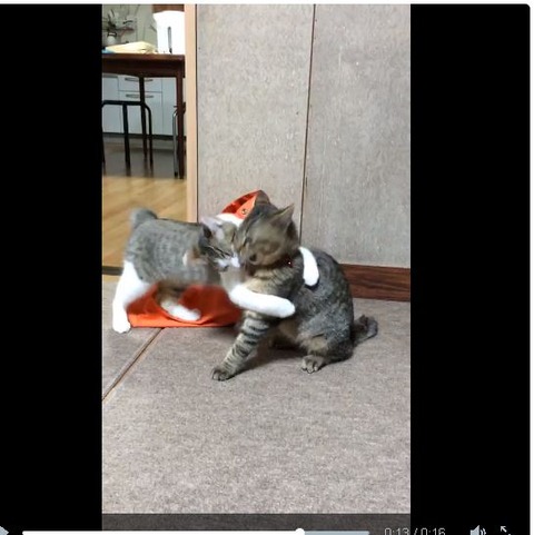 キャプチャ