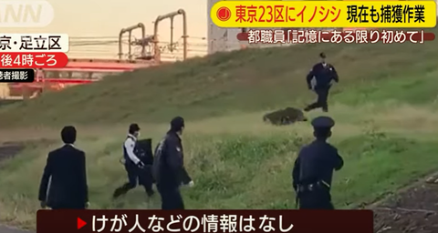 キャプチャ