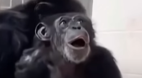 スクリーンショット 2023-03-07 094008-makoto117