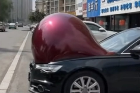 no title
