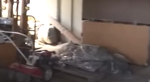 スクリーンショット 2025-04-20 095838