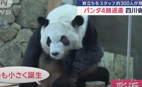 スクリーンショット 2025-05-06 155420