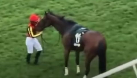 スクリーンショット 2025-04-20 095838