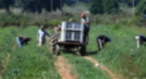 スクリーンショット 2023-11-08 191522