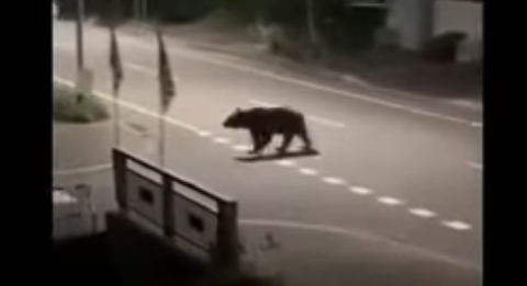 スクリーンショット 2025-04-20 095838