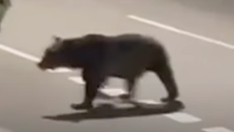 スクリーンショット 2025-04-20 095838