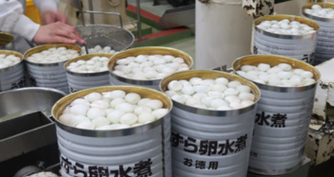 スクリーンショット 2023-11-08 191522