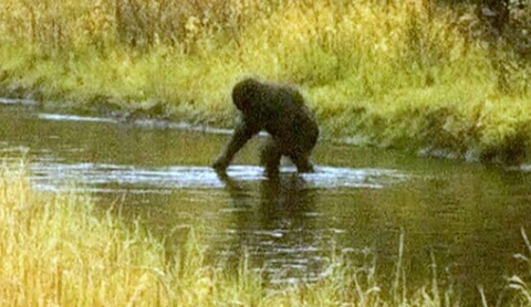 スクリーンショット 2025-05-06 155420