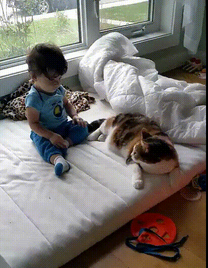no title