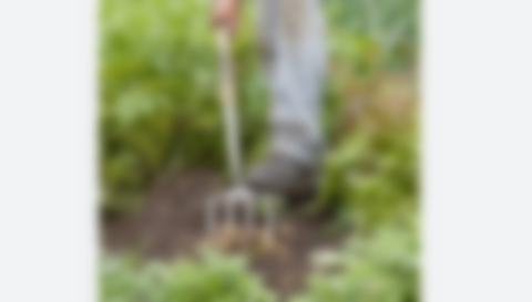 スクリーンショット 2025-05-13 205802