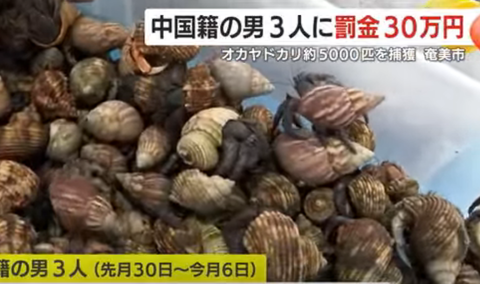 スクリーンショット 2025-05-13 205802