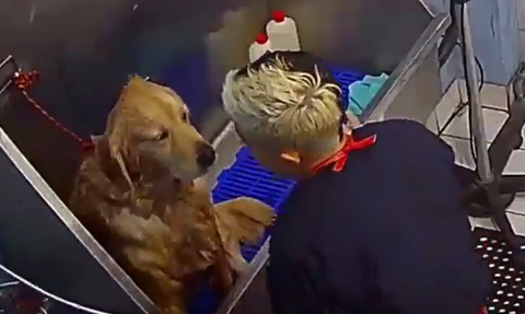 スクリーンショット 2024-05-24 184338