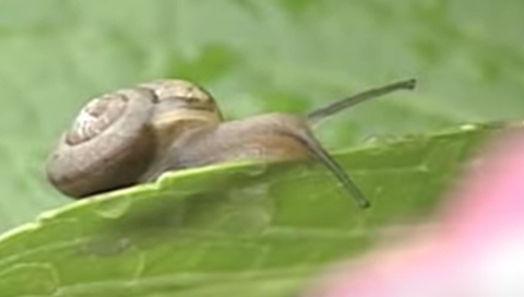 スクリーンショット 2024-05-24 184338