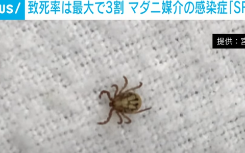 スクリーンショット 2023-03-07 094008-makoto117