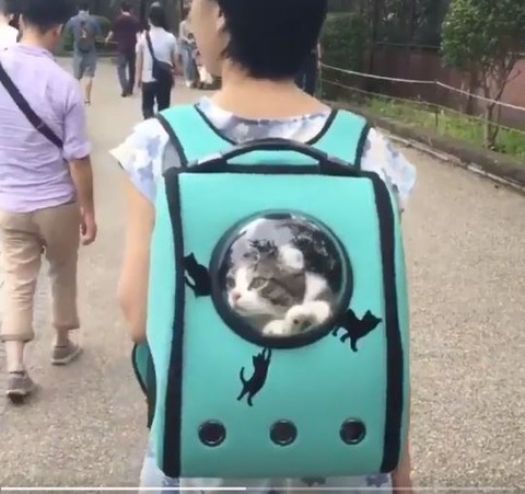 キャプチャ