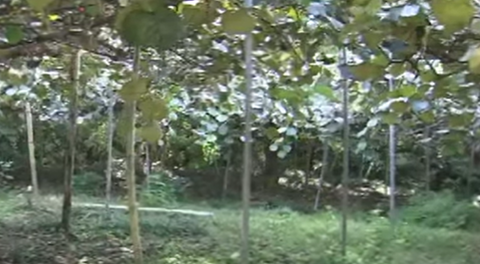 スクリーンショット 2024-10-05 001855