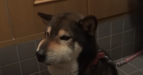 5f057b6391a3895dc0b04dcbc1822992