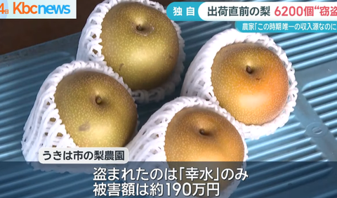 スクリーンショット 2025-05-06 155420