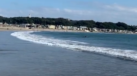 スクリーンショット 2025-05-06 155420