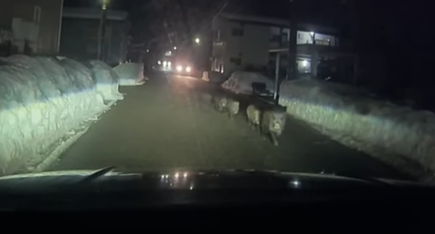 スクリーンショット 2024-12-02 080803