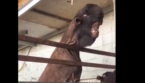 スクリーンショット 2025-04-20 095838