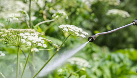 スクリーンショット 2025-05-06 155420