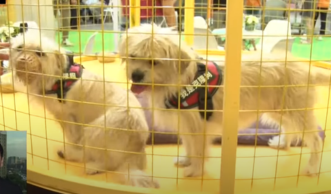 スクリーンショット 2023-03-07 094008-makoto117