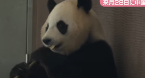 スクリーンショット 2025-05-06 155420