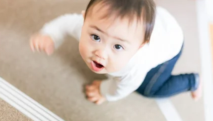 スクリーンショット 2024-12-18 133654