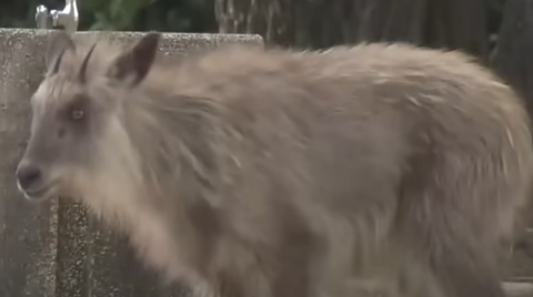 スクリーンショット 2025-05-06 155420