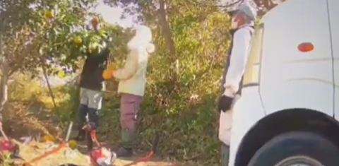 スクリーンショット 2024-12-02 080803