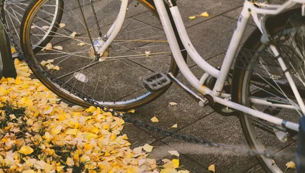 スクリーンショット 2025-05-06 155420