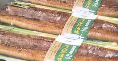 スクリーンショット 2025-05-06 155420