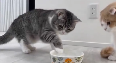 スクリーンショット 2025-04-20 095838