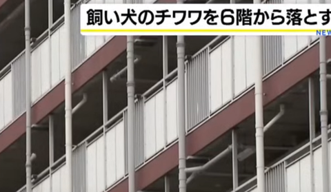 スクリーンショット 2025-05-06 155420