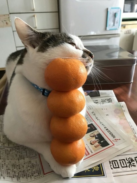 no title
