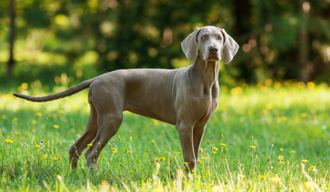 スクリーンショット 2023-03-07 094008