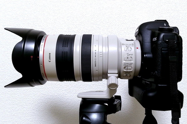 EF28-300mm F3.5-5.6L IS USM