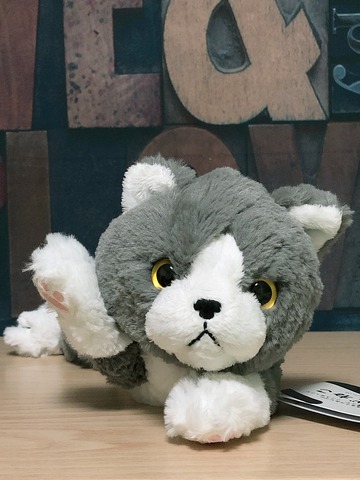 ひざねこSサイズ エキゾチックグレー
