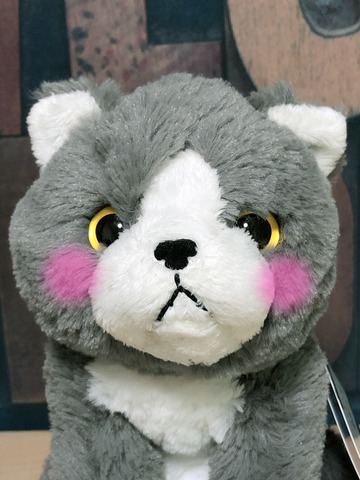 ひざねこSサイズ エキゾチックグレー