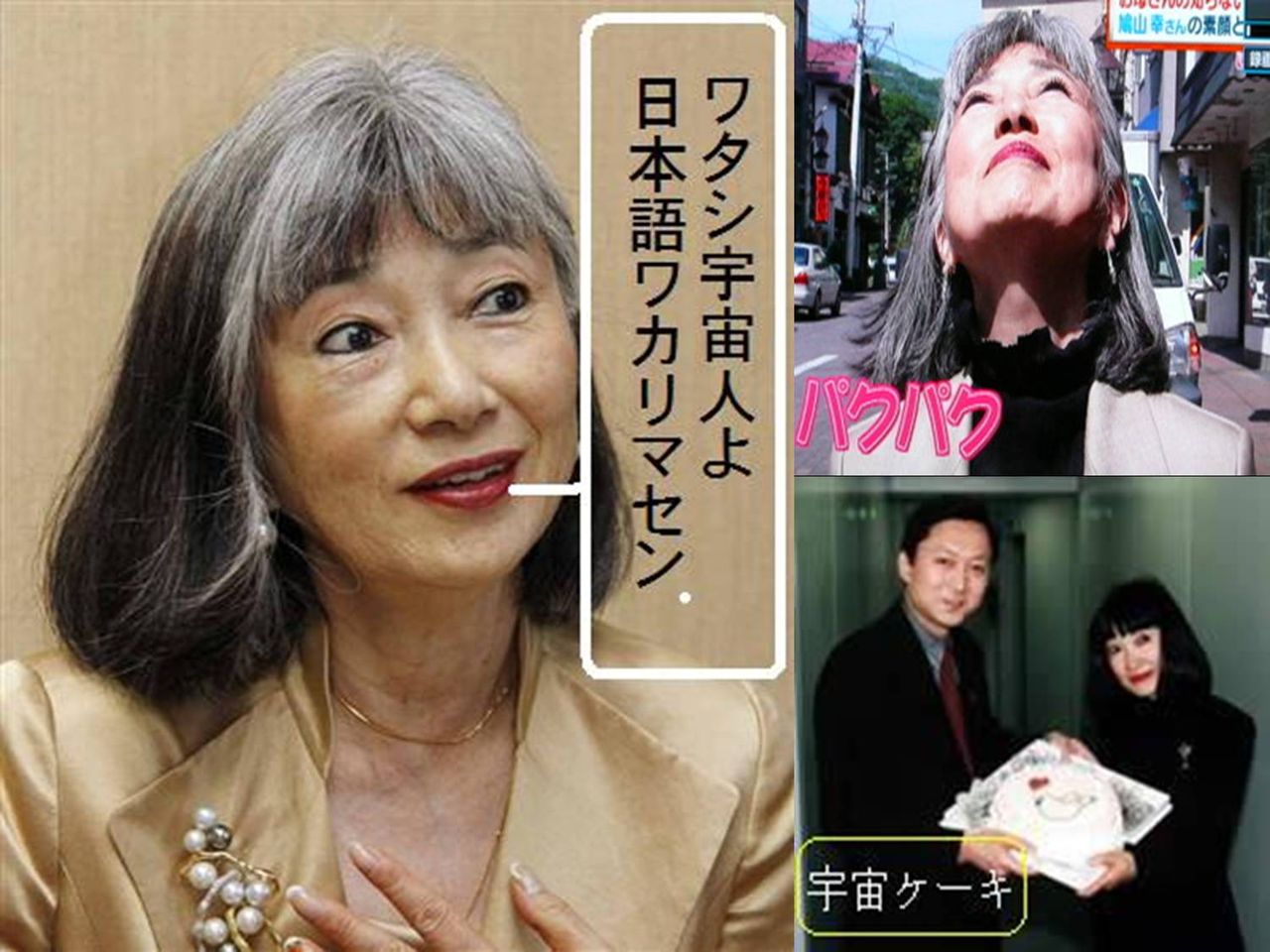 悪党民主党鳩山元内閣だった クレヨンしんちゃんもう見れない 見えない障害と闘いながら