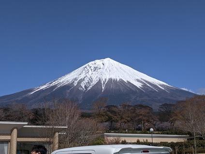 4月14日に富士桜自然墓地公園の桜7