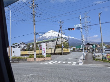 4月14日に富士桜自然墓地公園の桜3