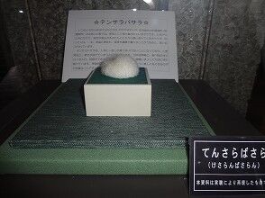 photo_06