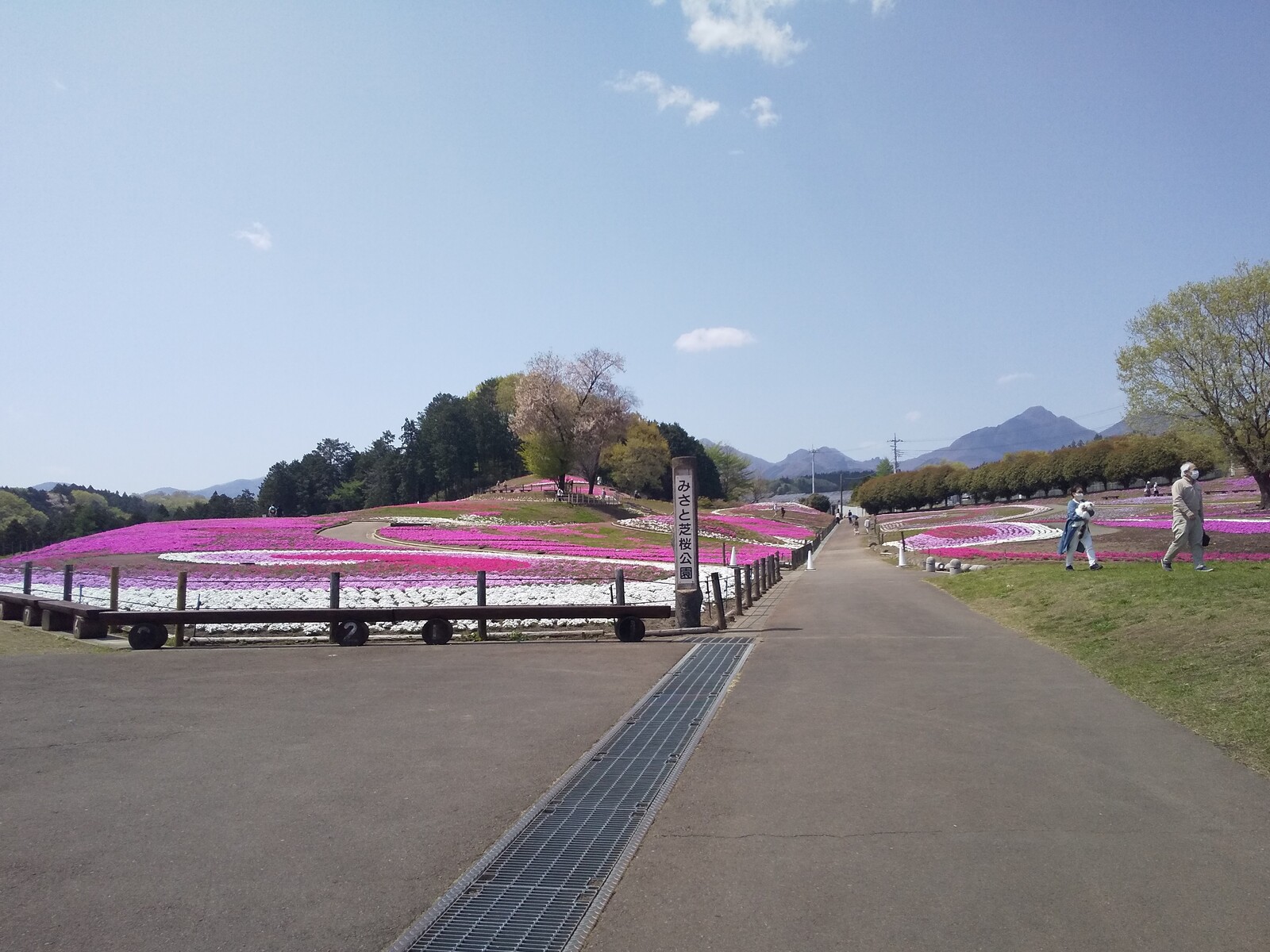 21年4月日 箕郷芝桜公園 旅がらすな日々 画像集 21年4月日 箕郷芝桜公園 旅がらすな日々 画像集