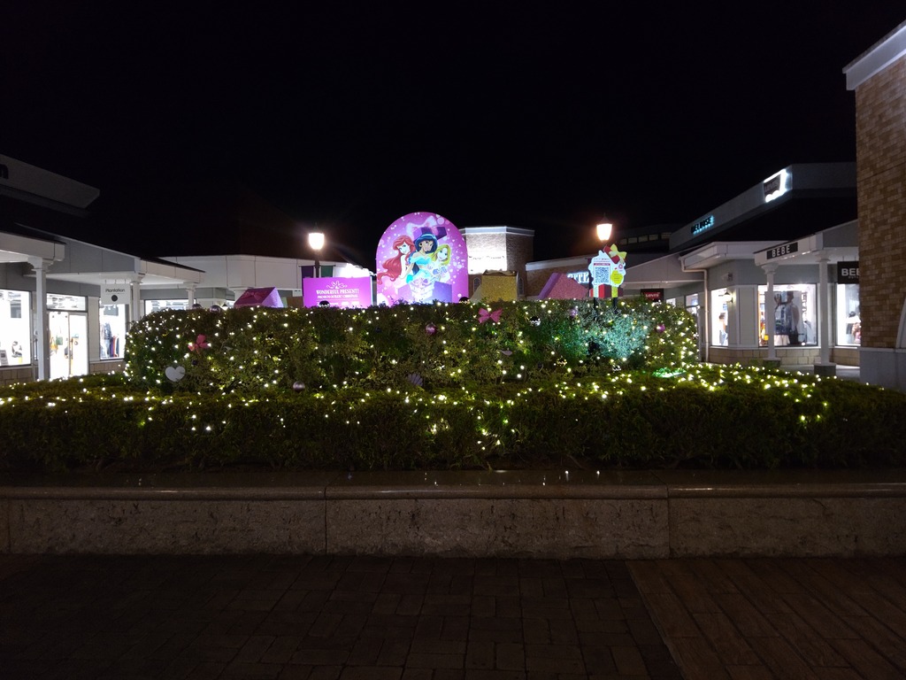 DSC_2506