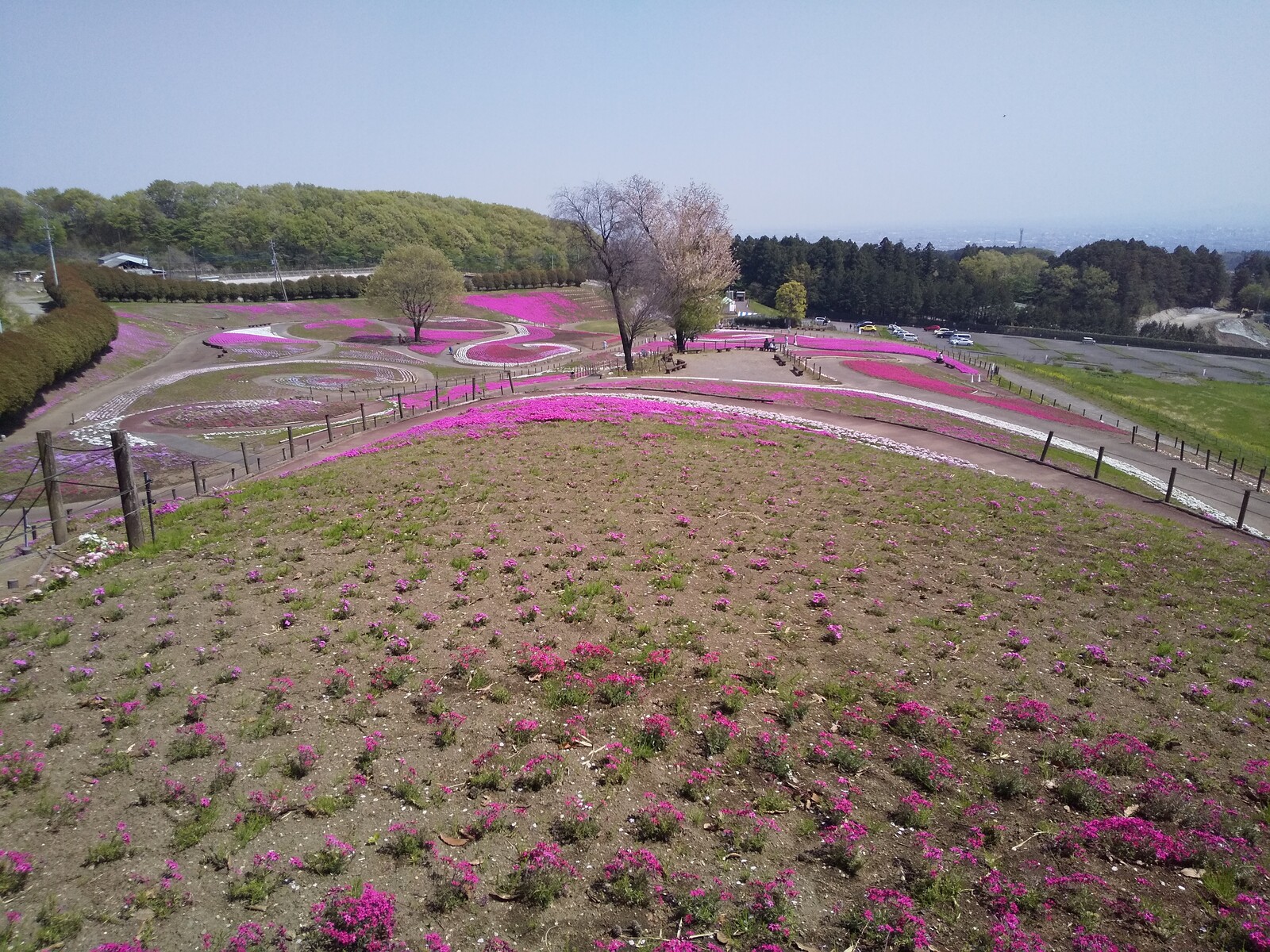 21年4月日 箕郷芝桜公園 旅がらすな日々 画像集