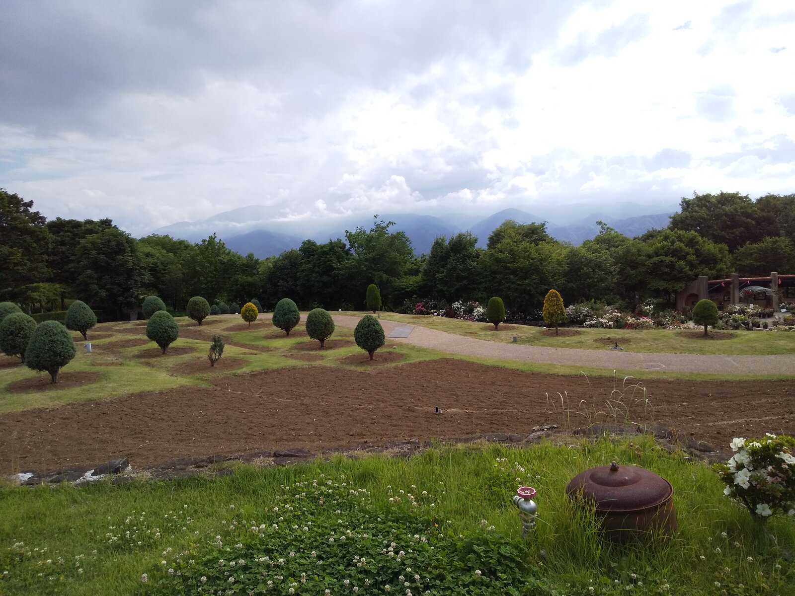 年6月10日 山梨フラワーセンターハイジの村 旅がらすな日々 画像集 年6月10日 山梨フラワーセンターハイジの村 旅がらすな日々 画像集