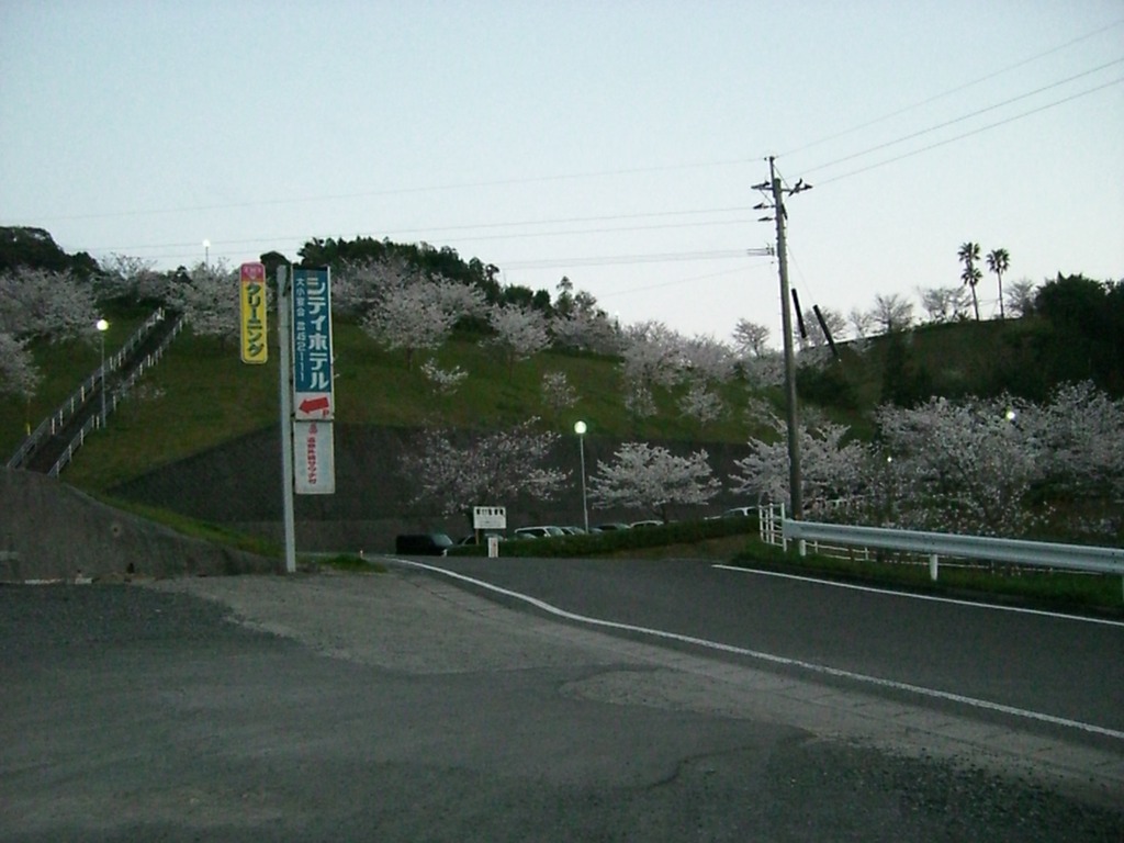 51温泉の周りは桜がいっぱい