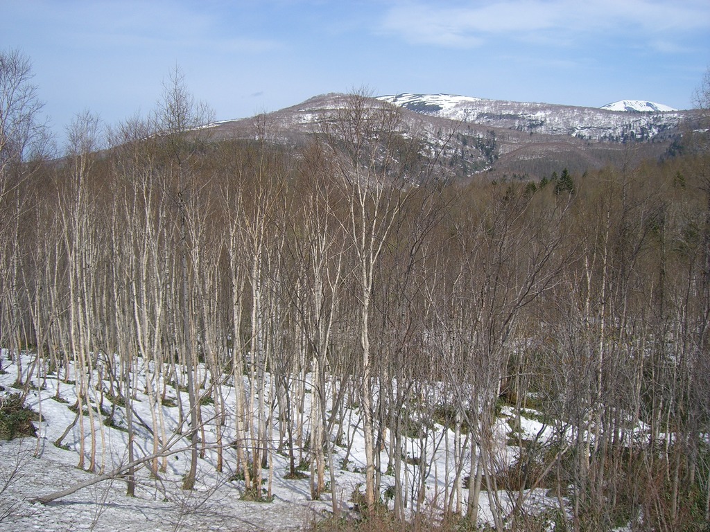 09中山峠周辺